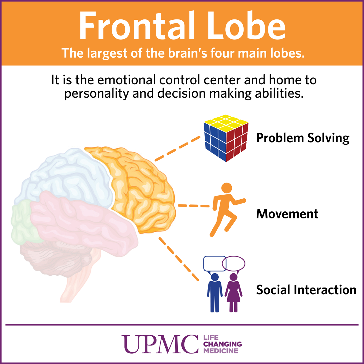 Get To Know Your Brain: The Frontal Lobe | UPMC HealthBeat