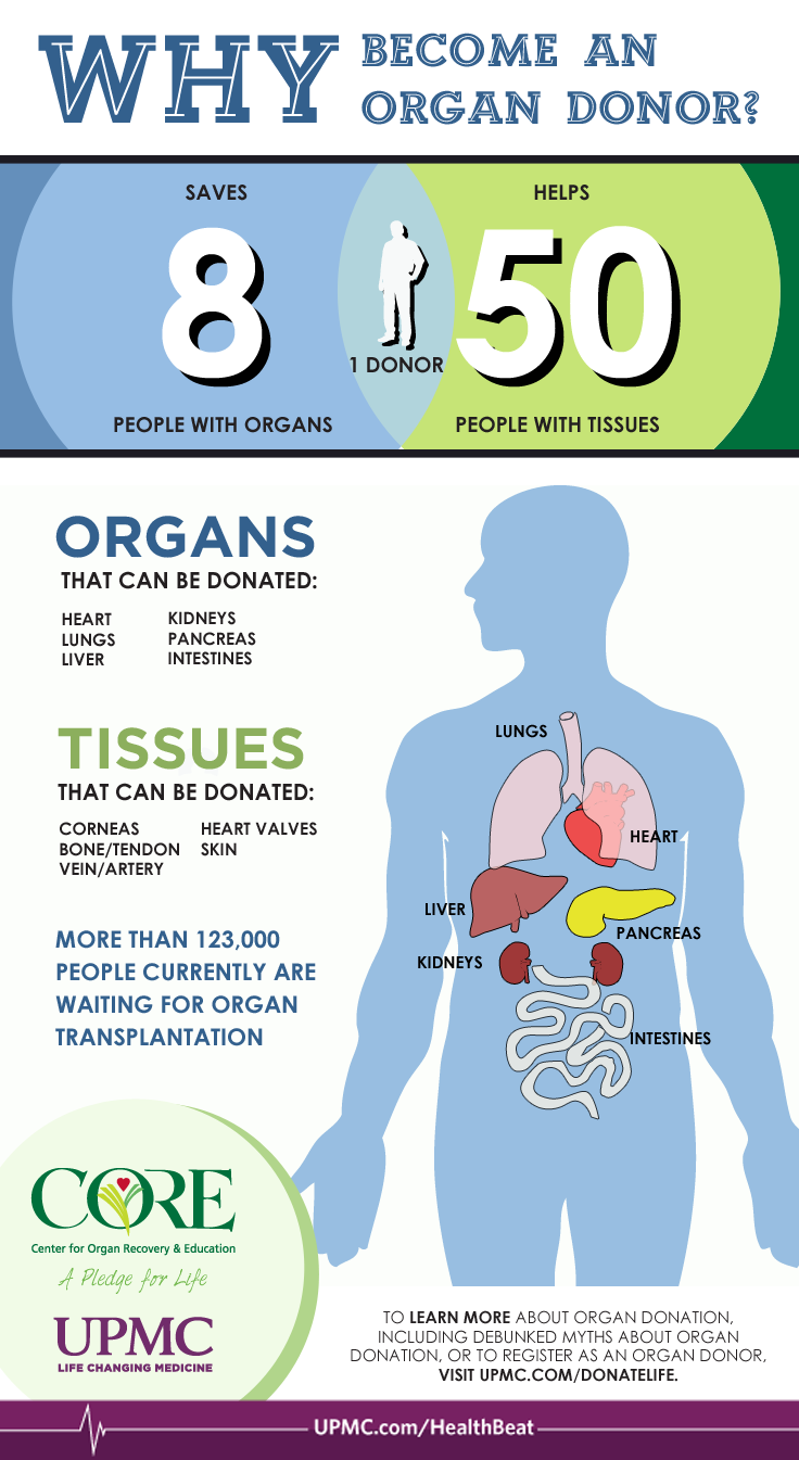 how to become a living organ donor in canada