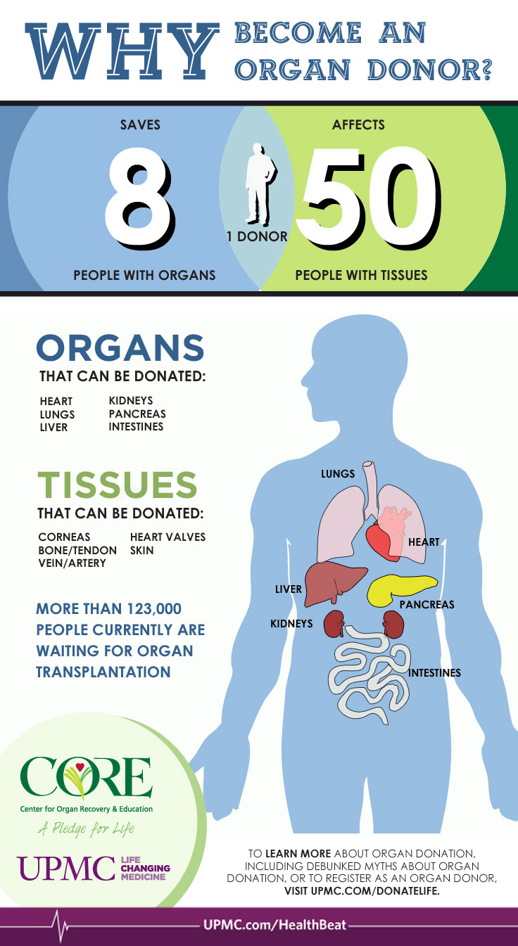 organ donation infographic