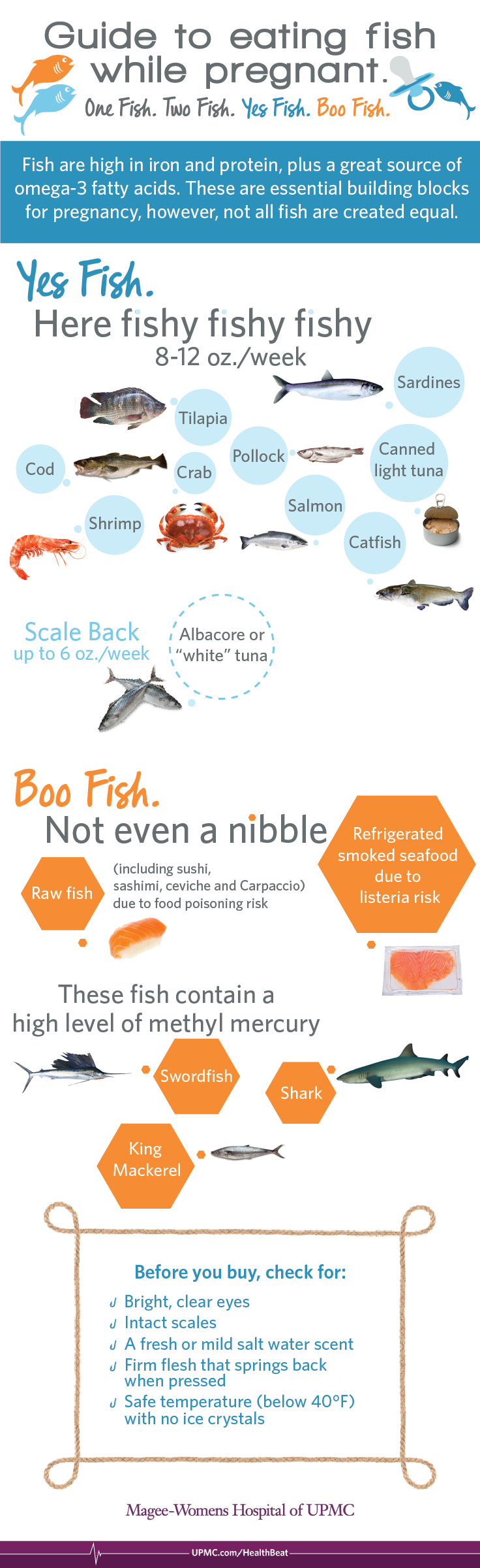 Infographic: Eating Seafood During Pregnancy | UPMC