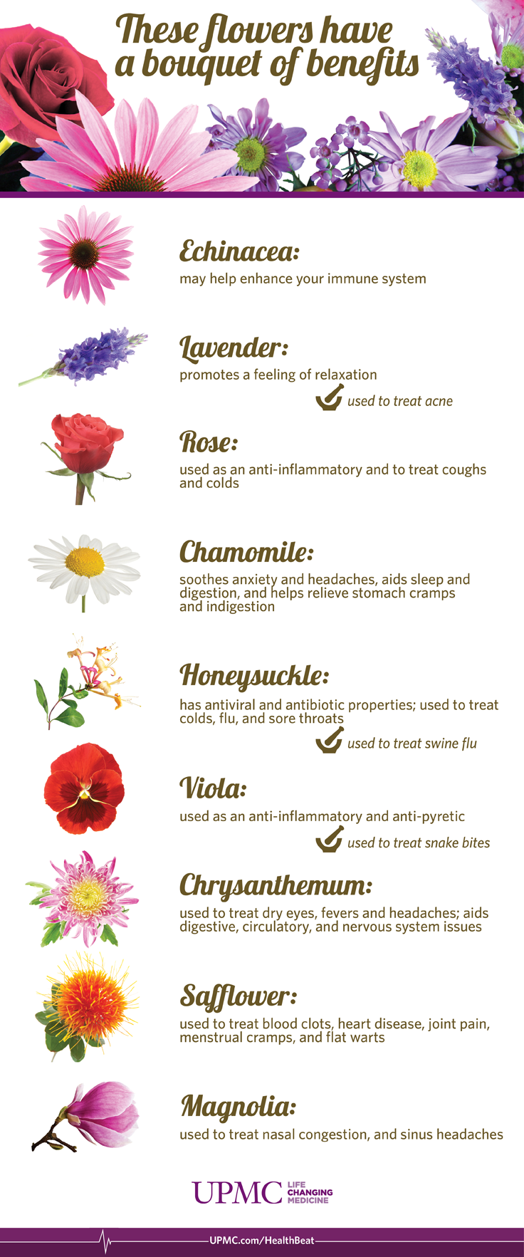 Infographic: Health Benefits of Flowers