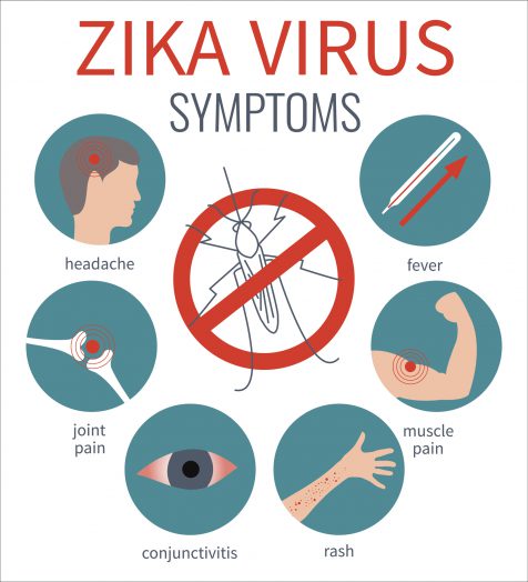 Learn about common Zika virus symptoms