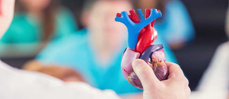 4 Facts about Bicuspid Aortic Valve | UPMC