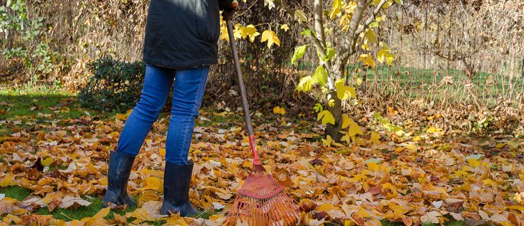 7 Leaf Raking Safety Tips for Fall | UPMC HealthBeat